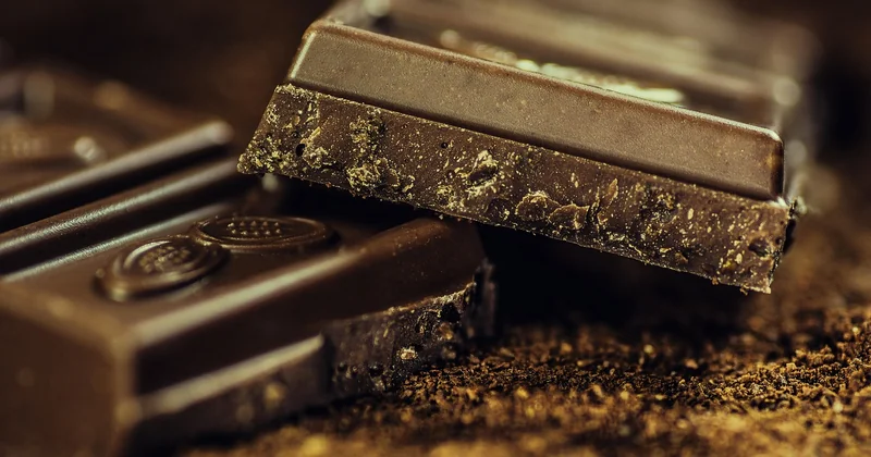 Le rôle du chocolat : qualité et taux de cacao