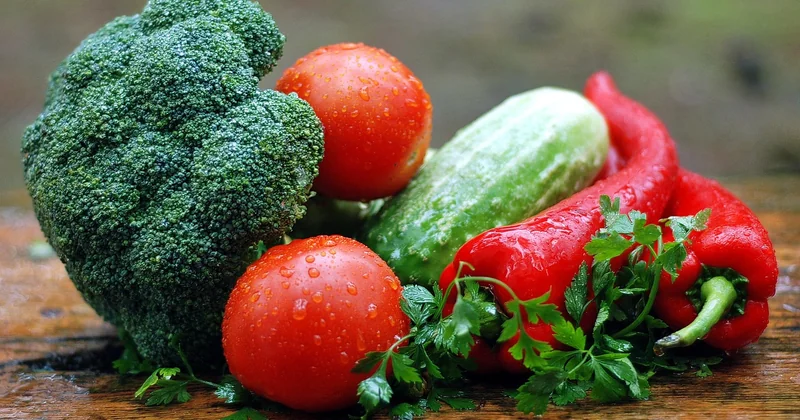 Vegetarien contre carné : ce que dit la balance énergétique