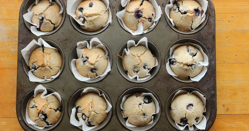 Comparatif des desserts sans cuisson les plus rapides