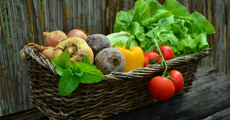 Une recette végétarienne légère pour le soir, sans se sentir ballonné au coucher