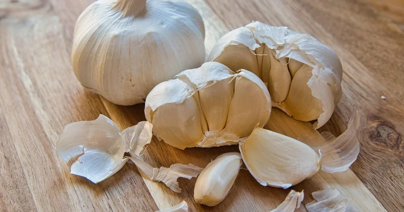 Pourquoi le plat unique est parfait pour débuter