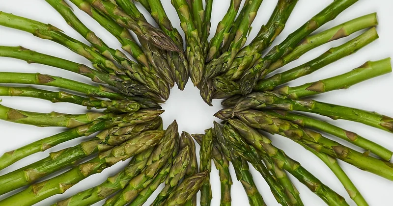 Variantes : sans béchamel, vegan, avec ricotta