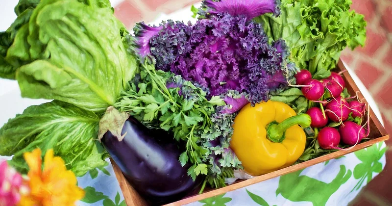 Valeurs nutritionnelles : ce que contient réellement votre assiette